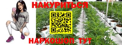 прущие крисы Нарткала
