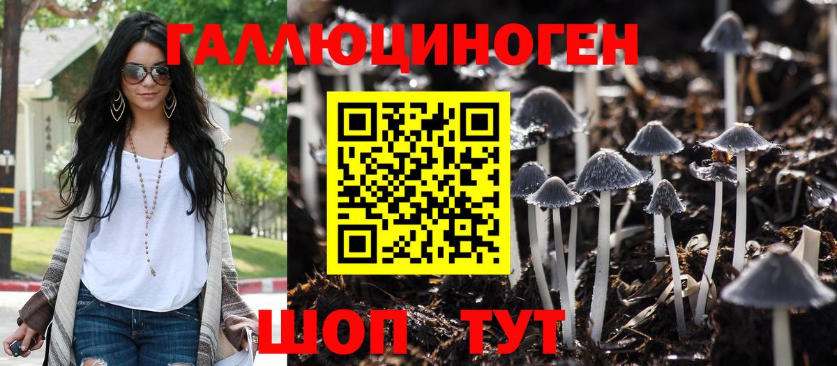 Пушкино  Галлюциногенные грибы Cubensis  Вход с VPN 